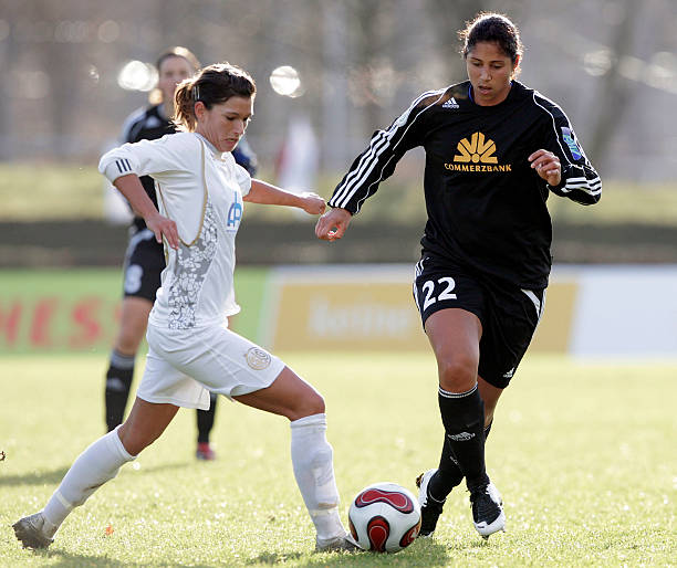 季中展现了 季中展现了